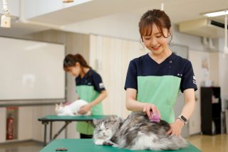 【ペット総合学科】ねこも学べる学科です😺😺😺