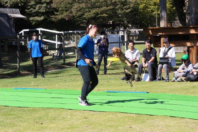 【ドッグトレーナー&アニマルケア学科】栃木農業高校の生徒を対象に体験授業を行いました！