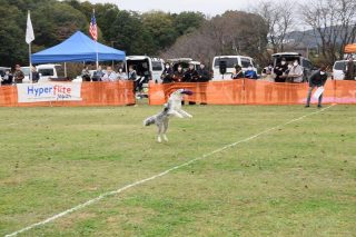 【ドッグトレーナー＆アニマルケア学科】ディスクドッグ大会に参加してきました🐶