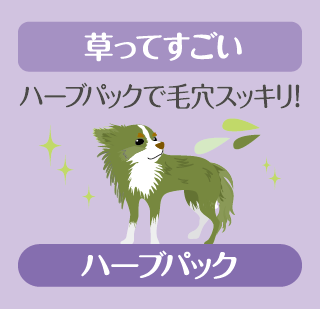 ★次回OC★7月12日（土）オープンキャンパス開催！✨