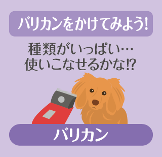 ★次回OC★8月 30日（土）オープンキャンパス開催💫