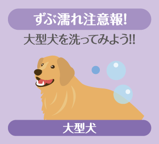 ★次回OC★9月 13日（土）オープンキャンパス開催💫
