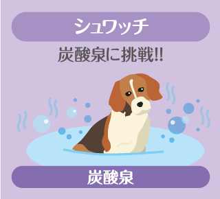 ★次回OC★9月 27日（土）オープンキャンパス開催💫