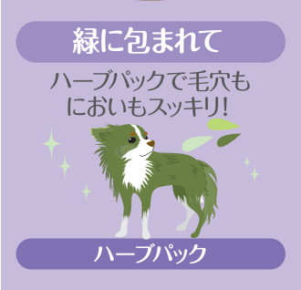★次回OC★9月5日（土）オープンキャンパス開催💫