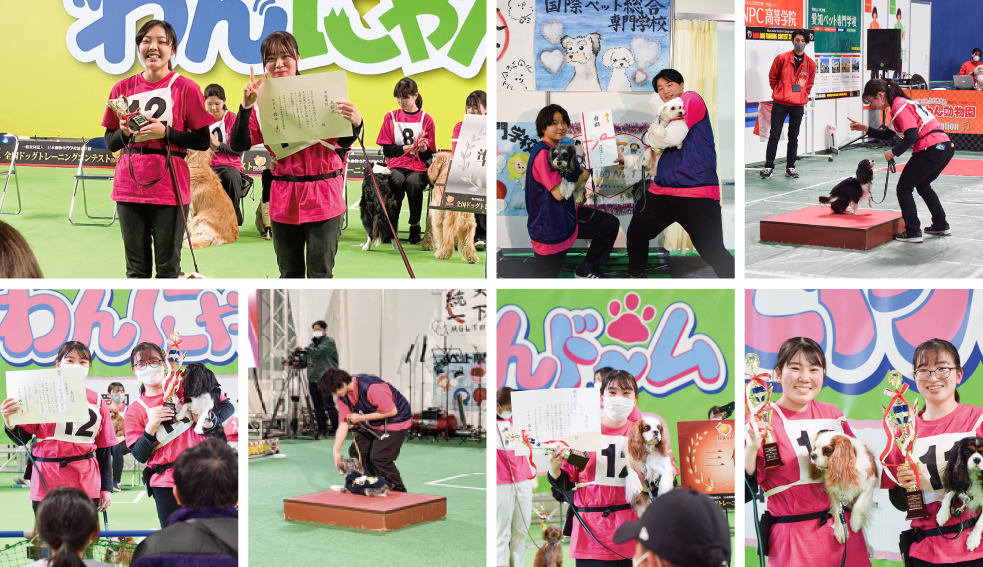 >全国ドッグトレーニングコンテスト