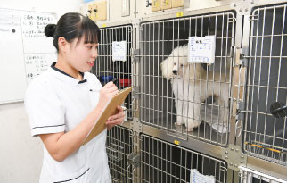 動物臨床看護学