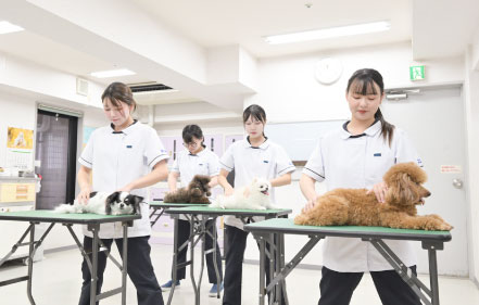動物内科看護学実習