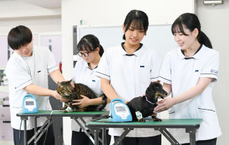 動物内科看護学実習