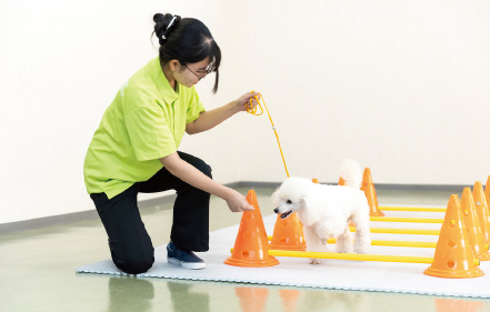 キャバレッティレール