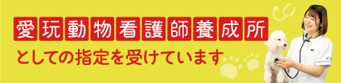 愛玩動物看護師養成所指定