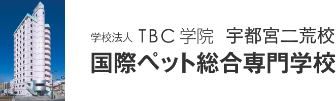 国際ペット総合専門学校