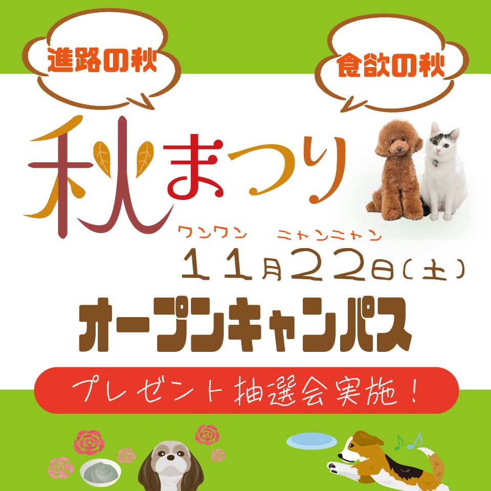 トリマー トレーニング 動物看護 アカデミー通信講座 DVDセット 犬 参考書 トリマー トレーニング 動物看護 アカデミー通信講座 DVDセット