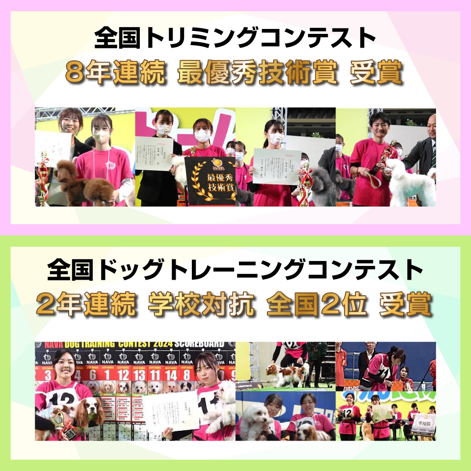 国際ペット総合専門学校｜ | 栃木県宇都宮市のトリマー、ドッグ