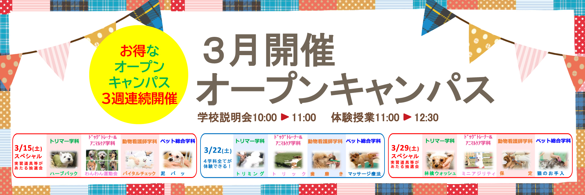 スペシャルオープンキャンパス