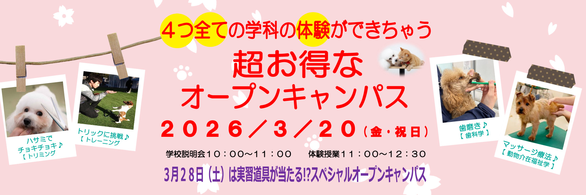 スペシャルオープンキャンパス