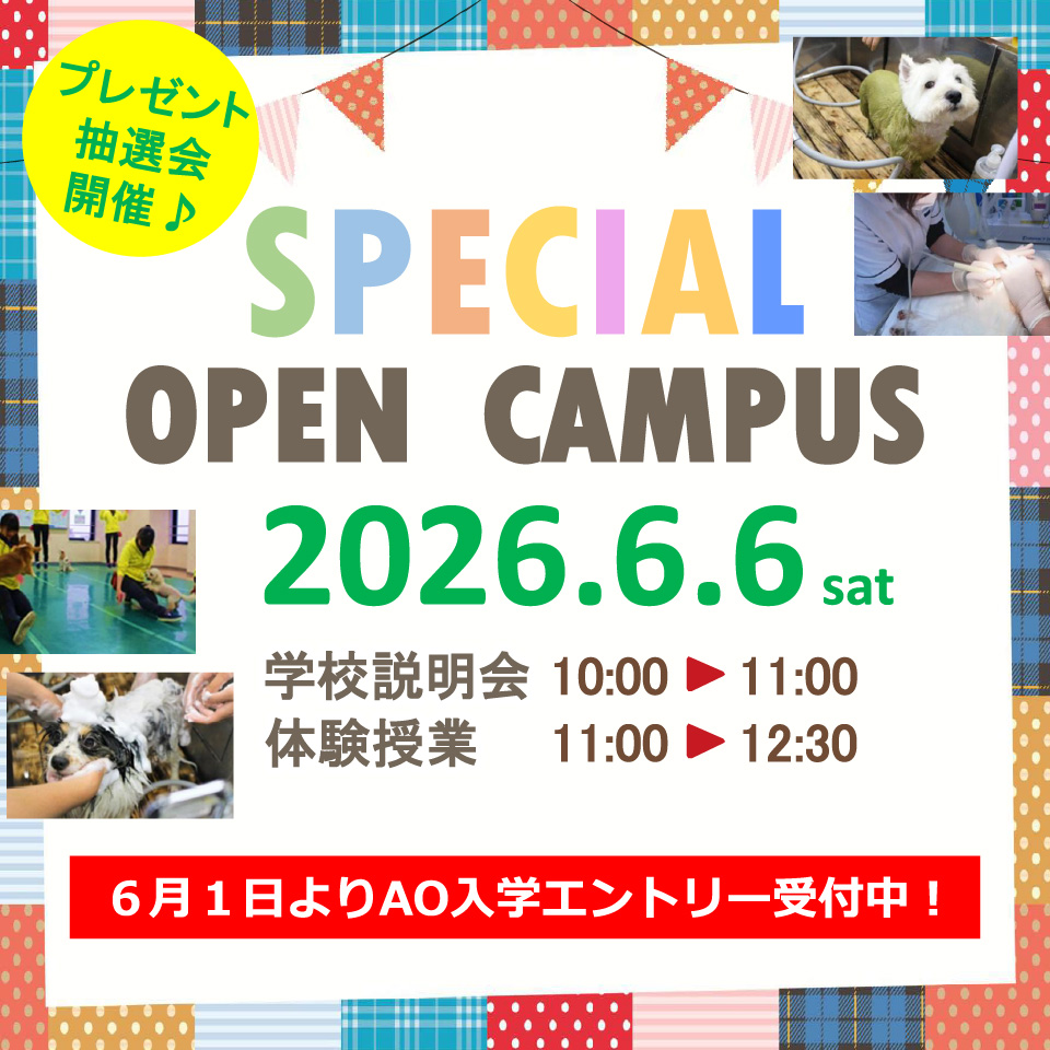 国際ペット総合専門学校｜ | 栃木県宇都宮市のトリマー、ドッグ