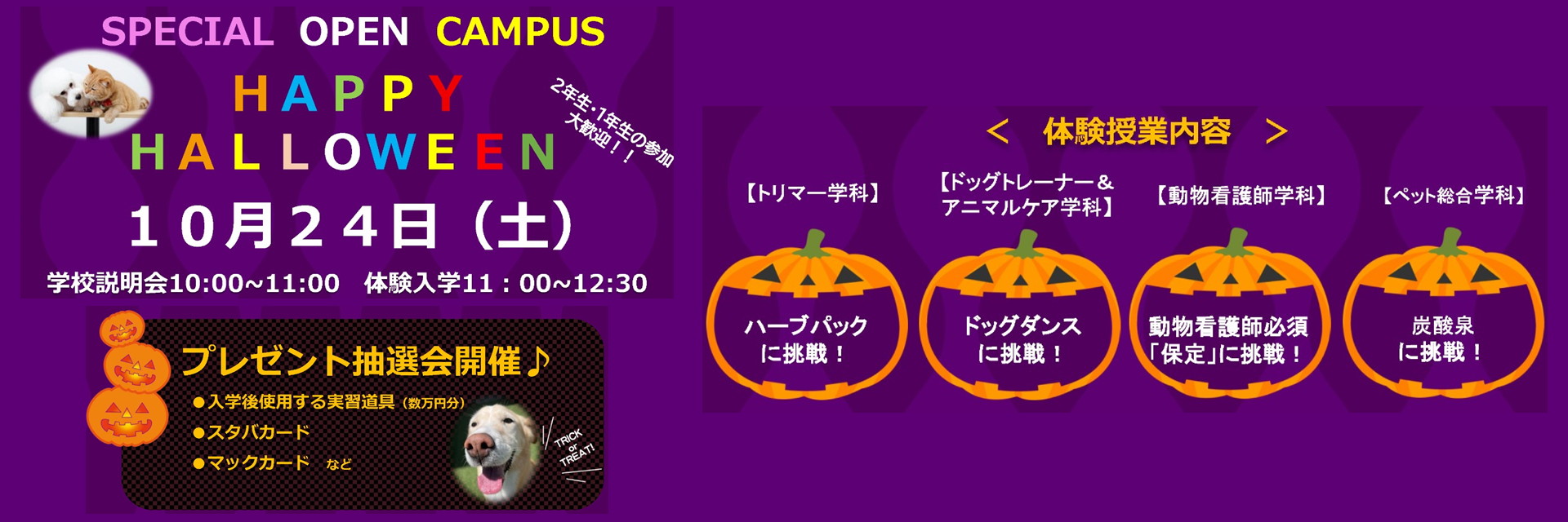 スペシャルオープンキャンパス