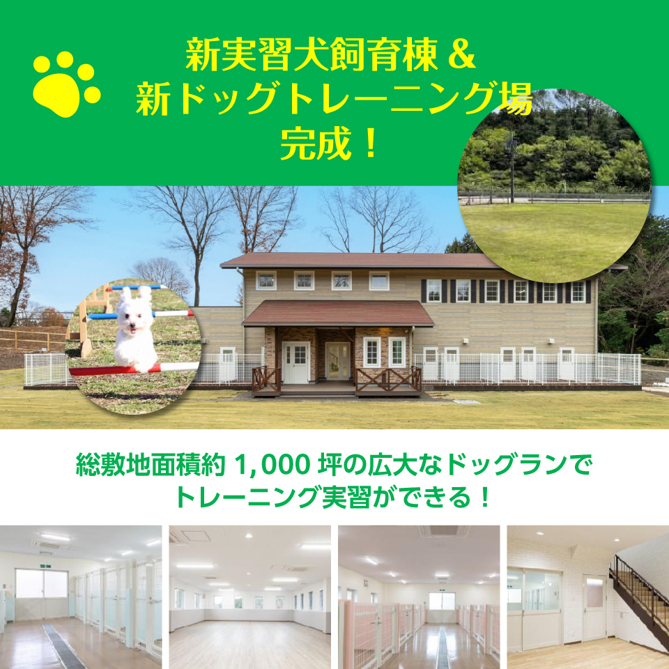 国際 ペット 総合 専門 学校
