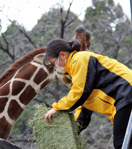 動物飼育員とは